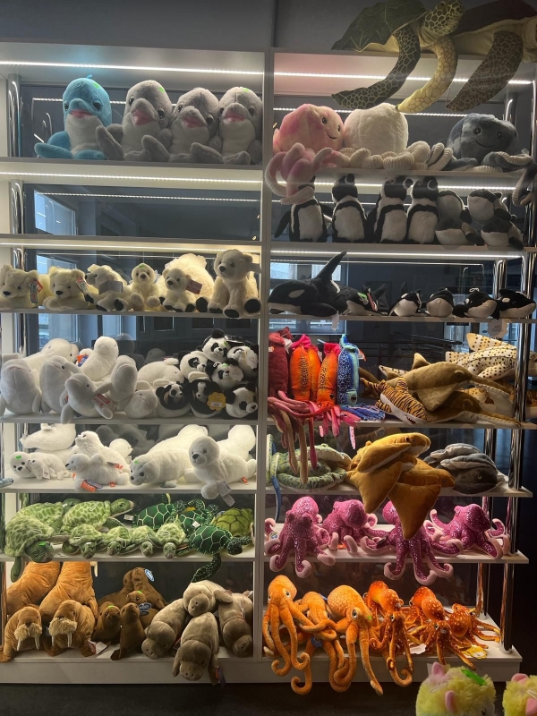 kontakt pamiatkiupominki.pl